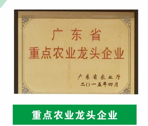 重點(diǎn)農業(yè)龍頭企業(yè)